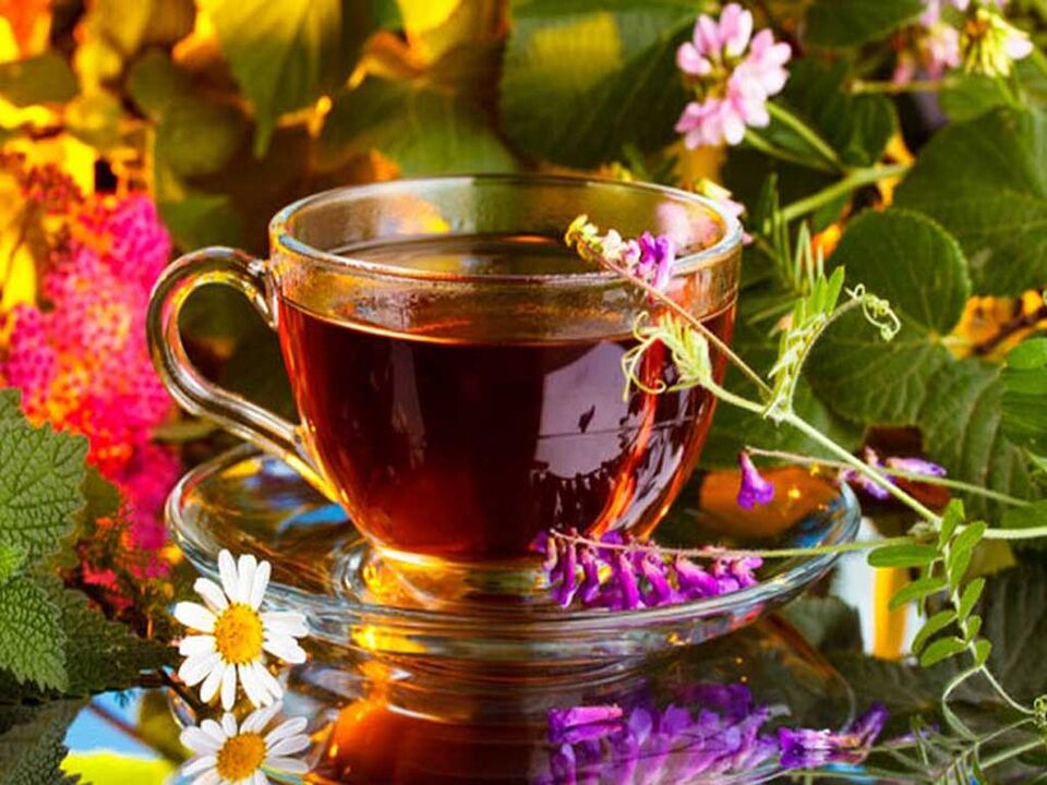 Infusioni e decocio